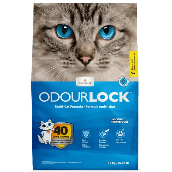 Intersand Odourlock Multi-Cat Clumping Cat Litter, 12Kg 1