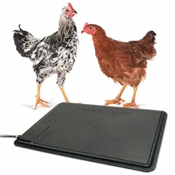 K&H Thermo Chicken Heated Pad 1
