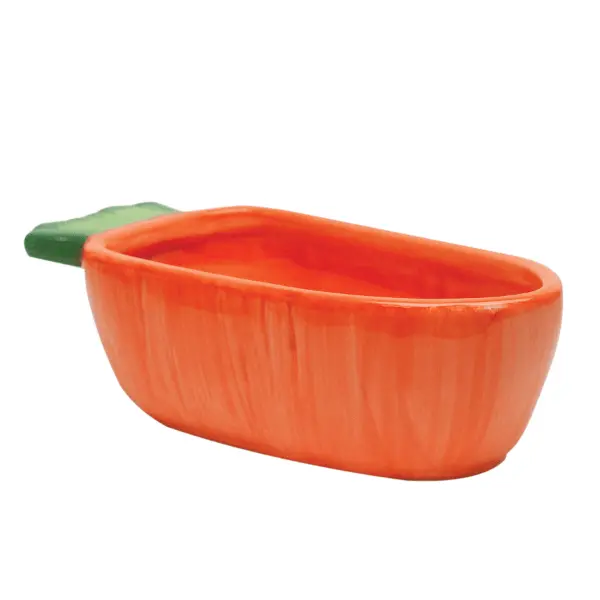 Kaytee Vege-T-Bowl Carrot 1