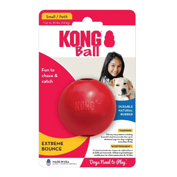 Kong Ball Dog Toy 1