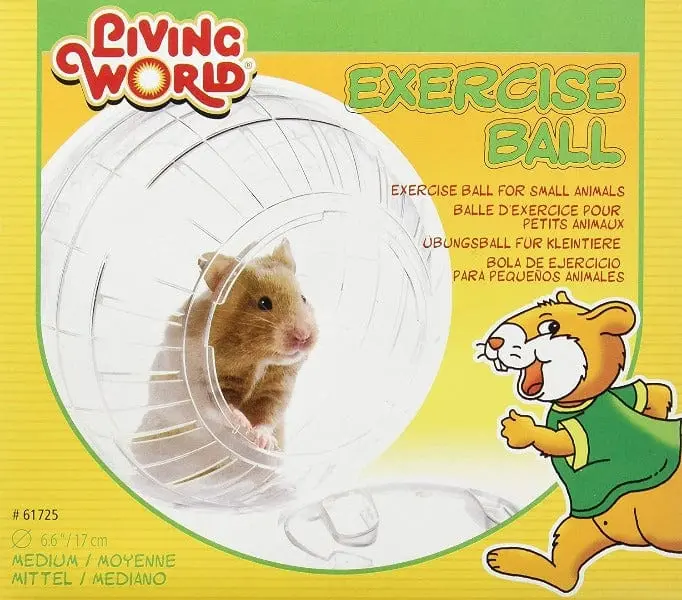 Living World Exercise Ball With Stand 1