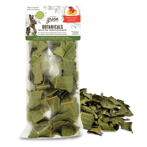 Living World Green Botanicals Dried Mango Leaves Treat 1