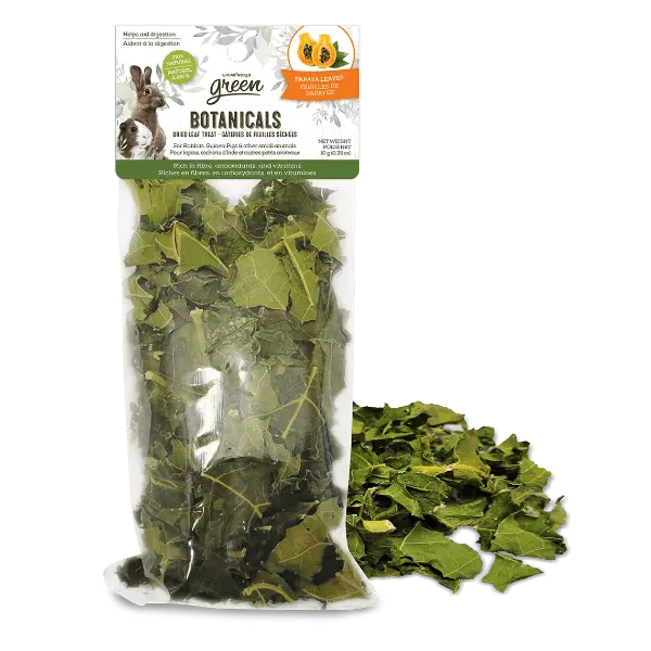 Living World Green Botanicals Dried Papaya Leaves Treat 1