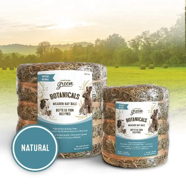 Living World Green Botanicals Meadow Hay Bale – Natural 1