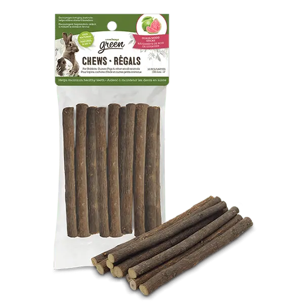 Living World Green Chews - Guava Wood Sticks 1