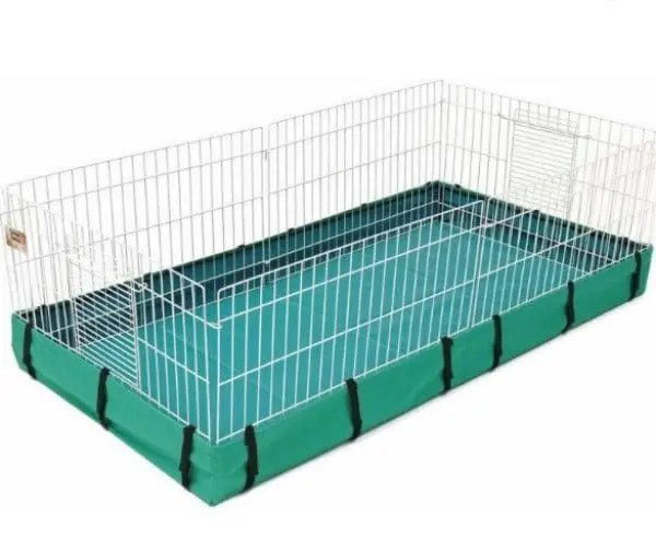 Midwest Guinea Habitat 1