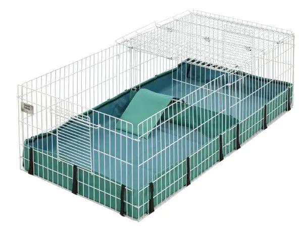Midwest Guinea Habitat Plus 1