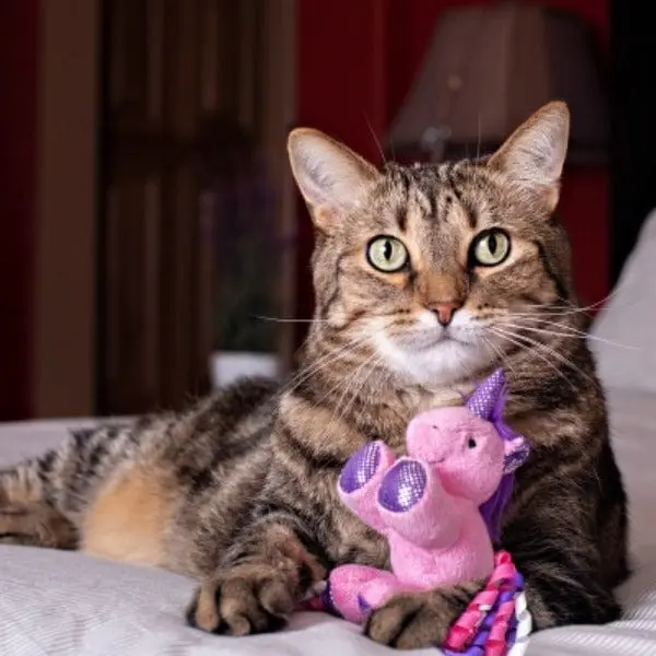 Multipet Unicorn Assorted Cat Toy 2