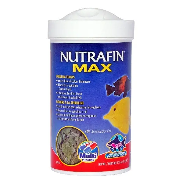 Nutrafin Max Spirulina Flakes 1
