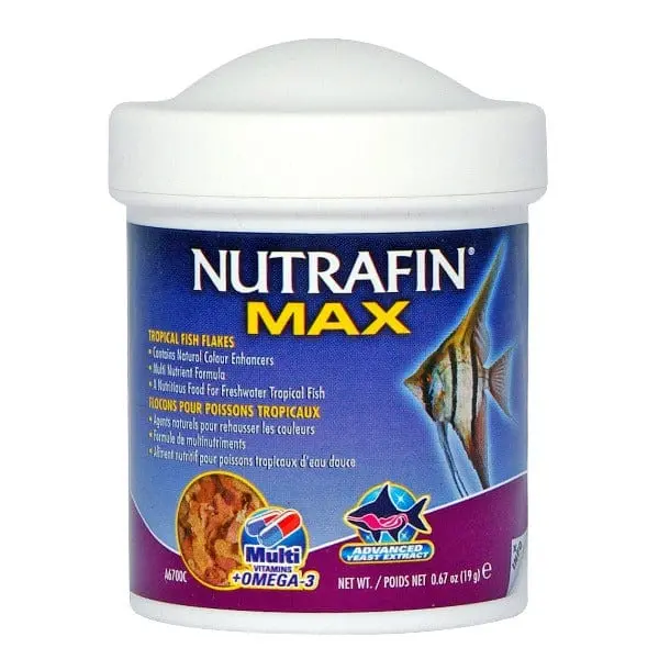 Nutrafin Max Tropical Fish Flakes 1