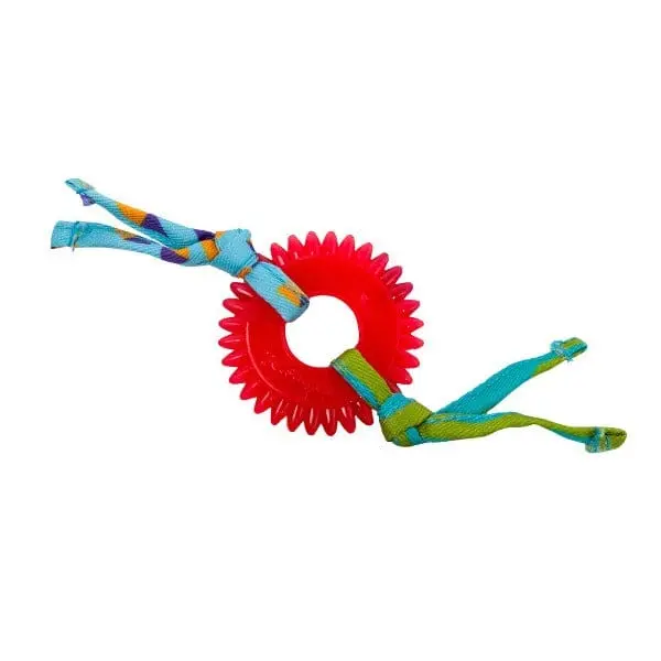 Petstages Dental Kitty Chew Wheel Cat Toy 1