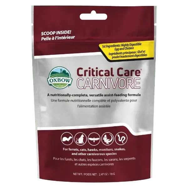 Oxbow Critical Care Carnivore 1