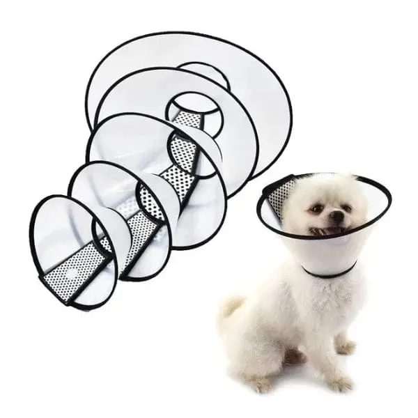 Pawise Recovery E-Collar 1