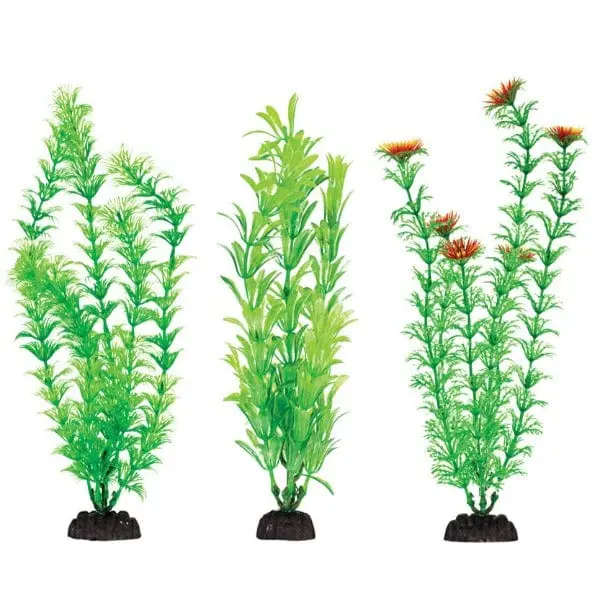 Aquaplant 12In Green 6Pc Bag 1