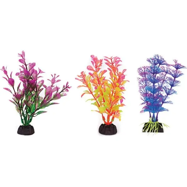 Aquaplant 4In Colorful 6Pc Bag 1