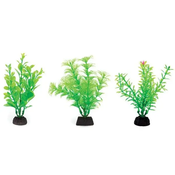 Aquaplant 4In Green 6Pc Bag 1