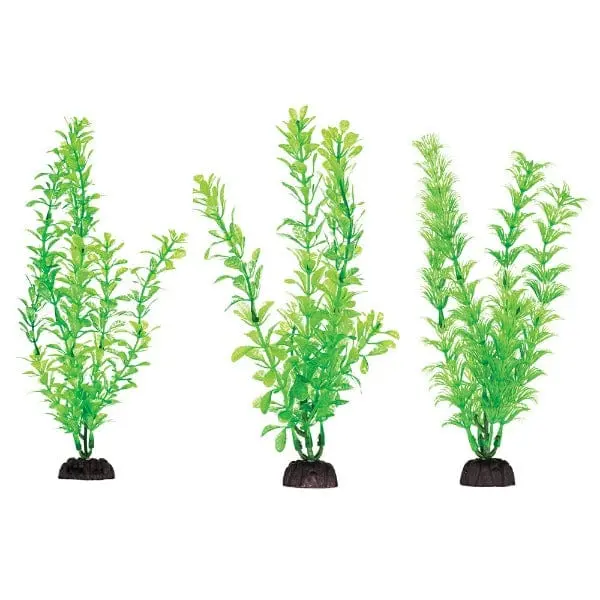 Aquaplant 8In Green 6Pc Bag 1