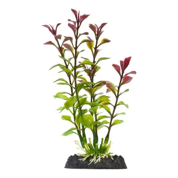 Finding Nemo Ludwigia Medium Red Plant Licensed 1