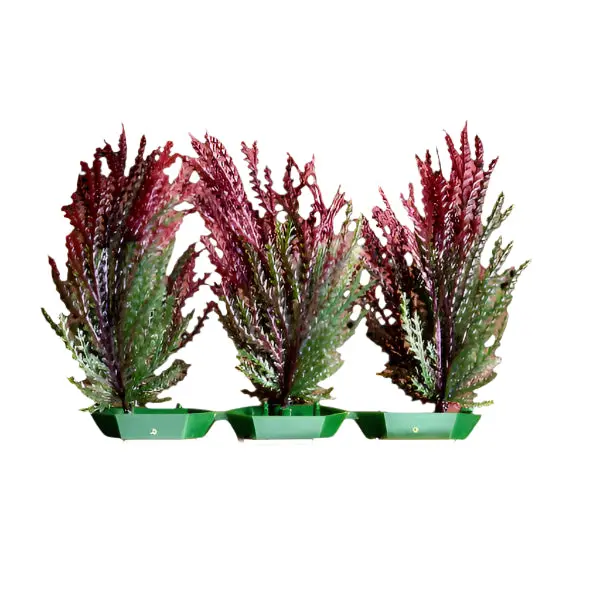 Penn Plax Foreground Plastic Plant; Available In Different Styles 2