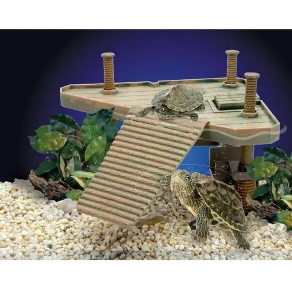 Reptology Turtle Pier 1