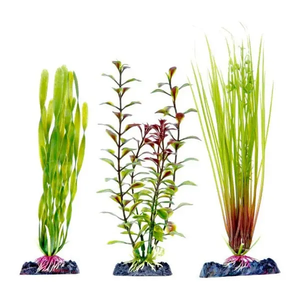Sinker Plant Green Multipack (1) Lge (2) Med 1