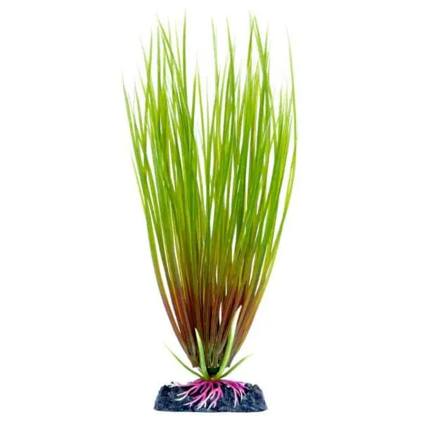 Sinker Plant Hair Grass Small 1