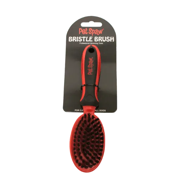 Pet Spaw Bristle Brush 1