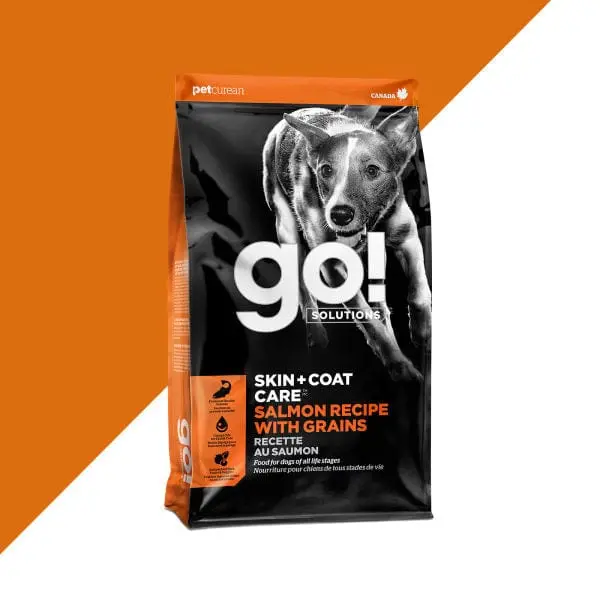 Go! Solutions Skin & Coat Care Salmon Recipe With Grains Dry Dog Food 1