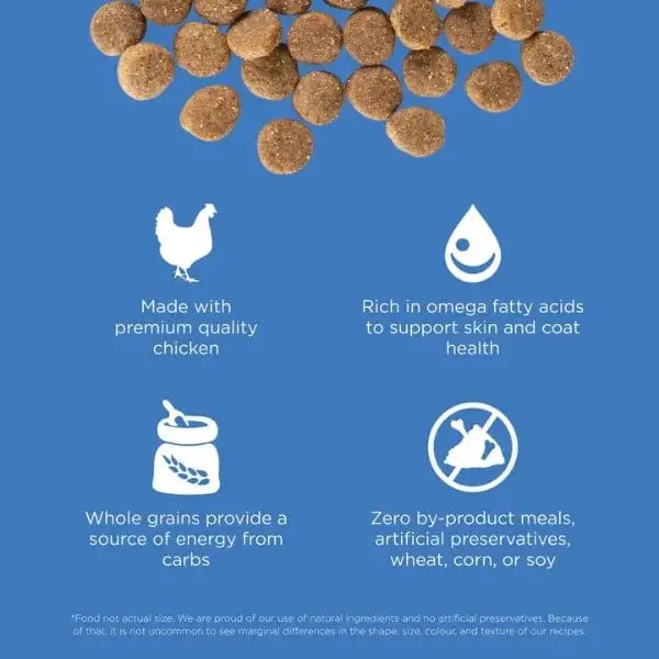 Go! Solutions Skin & Coat Care Chicken Recipe With Grains Dry Dog Food 2