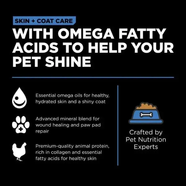 Go! Solutions Skin & Coat Care Chicken Recipe With Grains Dry Dog Food 3