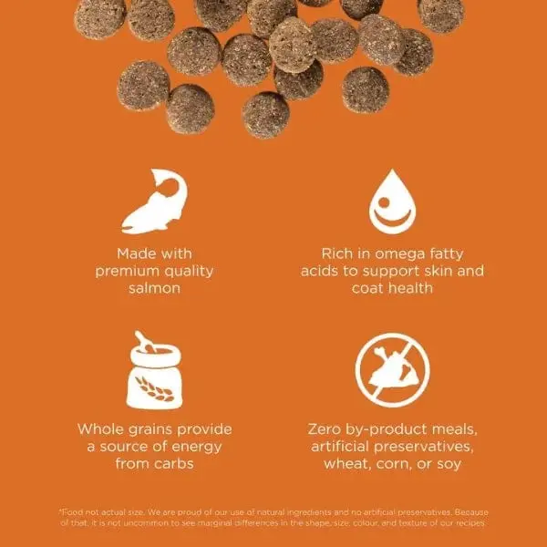 Go! Solutions Skin & Coat Care Salmon Recipe With Grains Dry Dog Food 2
