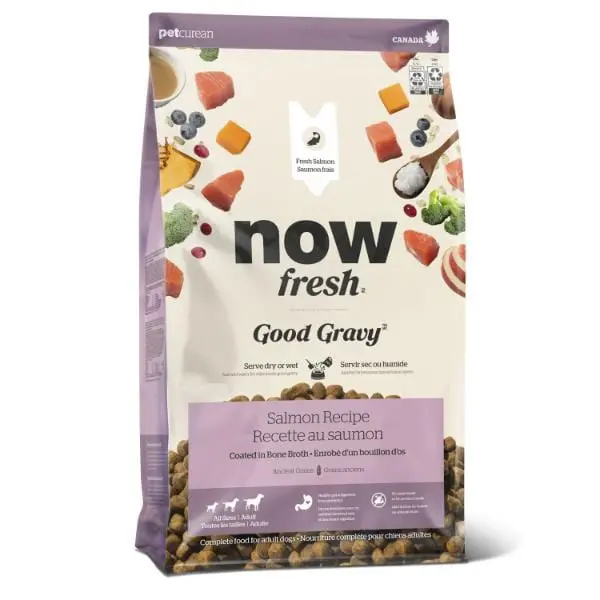 Now Fresh Good Gravy Salmon Recipe Adult Dry Dog Food 1
