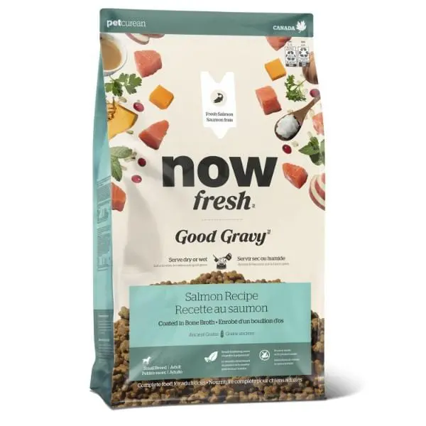 Now Fresh Good Gravy Salmon Recipe Small Breed Adult Dry Dog Food 1
