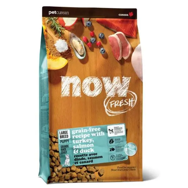 Now Fresh Turkey, Salmon & Duck Recipe Large Breed Dry Puppy Food, 25Lb 1