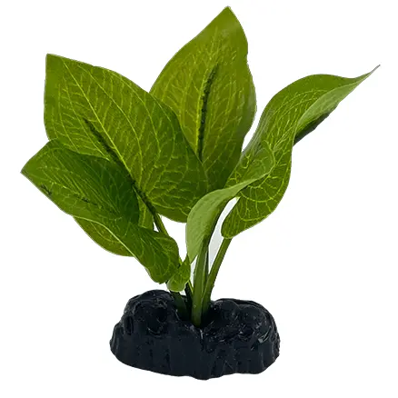 Fish Gear Anubias Nana Silk Betta Plant (4") 1