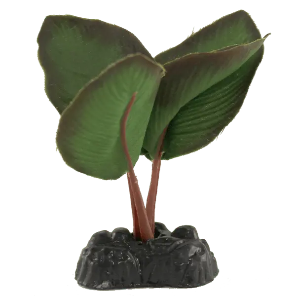 Fish Gear Anubias Silk Betta Plant (4") 1