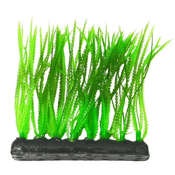 Fish Gear Narrow Leaf Green Foreground Aquarium Plant (4") 1