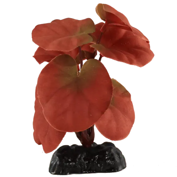 Fish Gear Red Cardamine Silk Betta Plant (4") 1