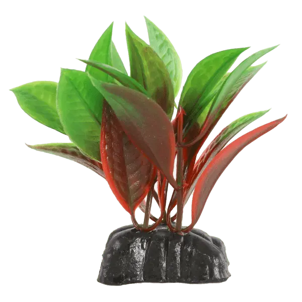 Fish Gear Red & Green Crypt Plastic Betta Plant (3") 1