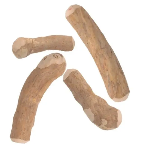 Good Dog Mighty Wood Chew Toys 1