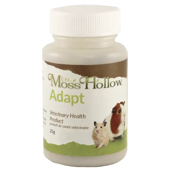 Moss Hollow Adapt 1