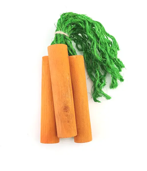 Moss Hollow Carrot Sticks Chew 1