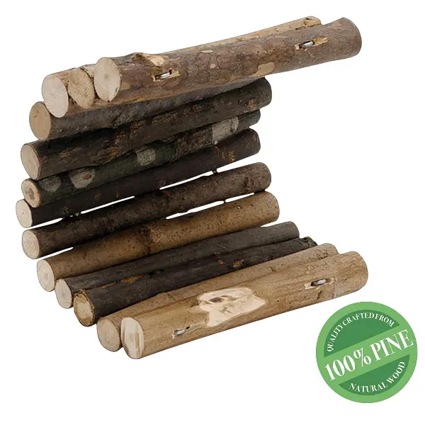 Moss Hollow Tree Twigs Lounging Logs 1