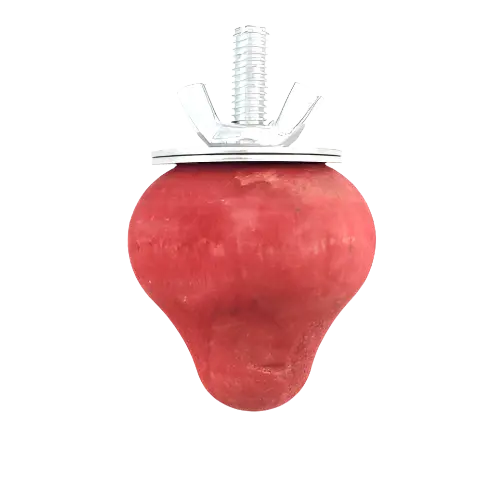Moss Hollow Wooden Strawberry Gnaw 1