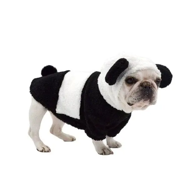 Panda Dog Costume 1
