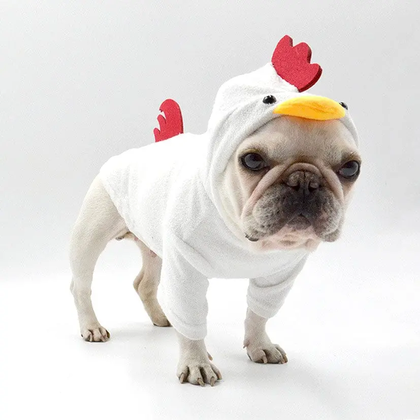 Rooster Dog Costume 1