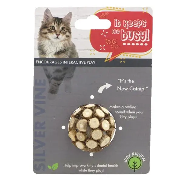 Silvervine Ball Cat Toy 1
