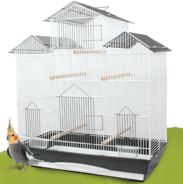 Tweeters Cockatiel Cage 1