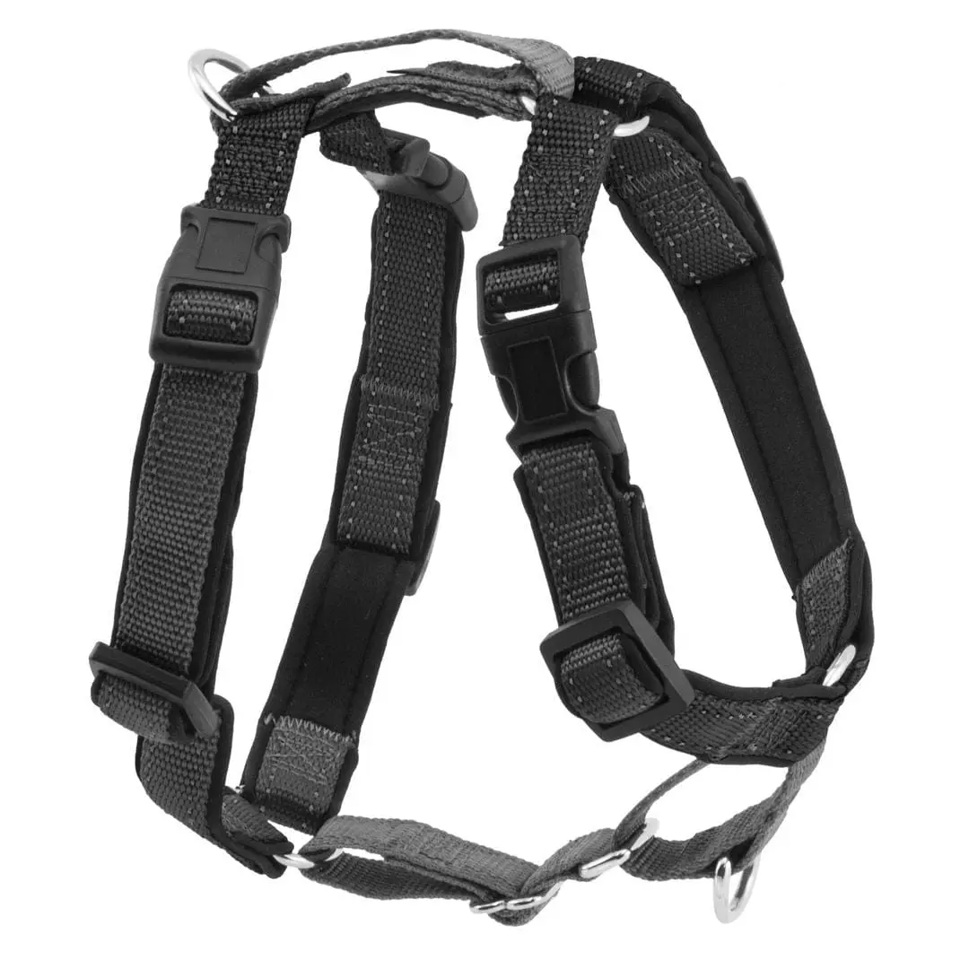 Petsafe 3 In 1 Harness & Car Restraint 1