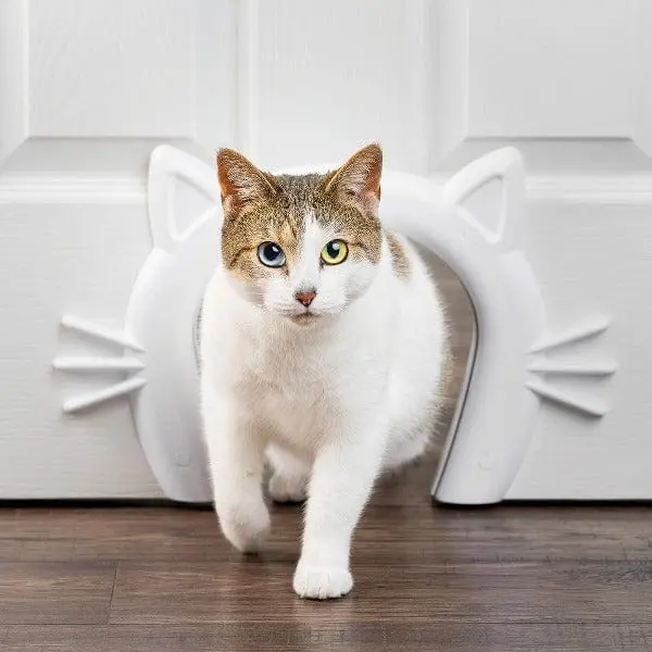 Petsafe Cat Corridor Interior Pet Door 1
